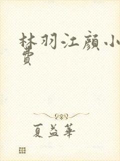 林羽江颜小说免费