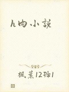 h肉小说