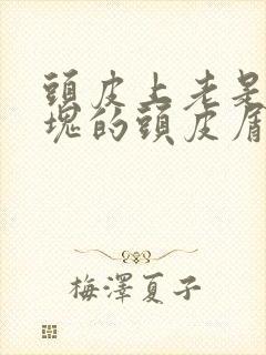 头皮上老是有大块的头皮屑怎么回事