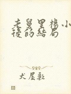 老舅里杨小姐最后的结局封面