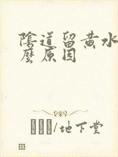 阴道留黄水是什么原因