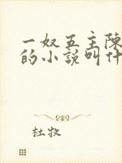 一奴五主陈茹默的小说叫什么