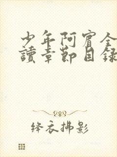 少年阿宾全文阅读章节目录