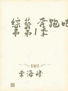 综艺 奔跑吧兄弟第1季