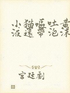 小猫呕吐黄色粘液还带泡沫不吃东西高烧