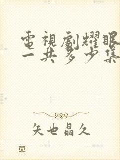 电视剧耀眼的你一共多少集封面