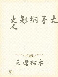 火影纲手大战鸣人