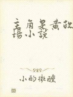 主角是黄政的官场小说