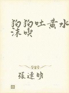 狗狗吐黄水带泡沫吃