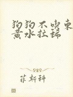 狗狗不吃东西吐黄水拉稀