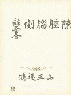 双侧脑腔隙性梗塞