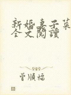 新婚妻子菜老板全文阅读