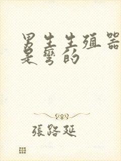 男生生殖器勃起是弯的