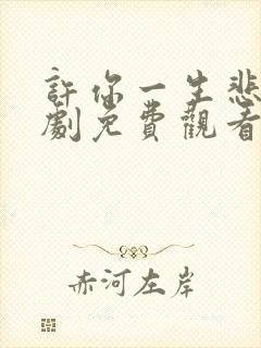 许你一生悲欢短剧免费观看