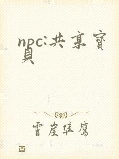 npc:共享宝贝