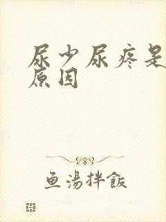 尿少尿疼是什么原因