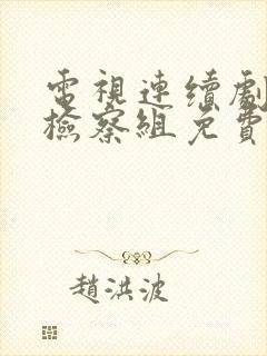 电视连续剧巡回检察组免费观看