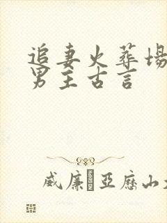 追妻火葬场狂虐男主古言封面