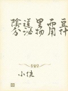 阴道里面豆腐渣分泌物用什么药