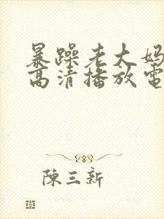 暴躁老大妈在线高清播放电视剧全集