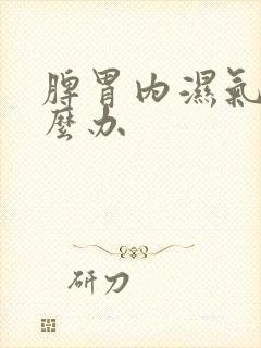 脾胃内湿气重怎么办