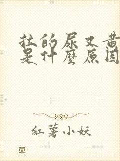 拉的尿又黄又臭是什么原因