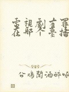 电视剧有罪之身在哪个台播放