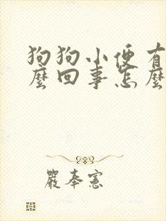 狗狗小便有血怎么回事怎么办封面