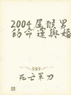 2004属猴男的命运与婚姻封面