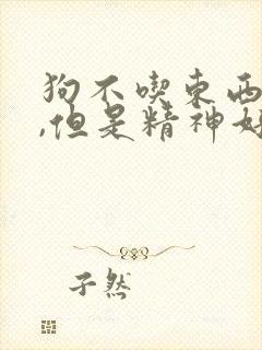 狗不吃东西呕吐,但是精神好