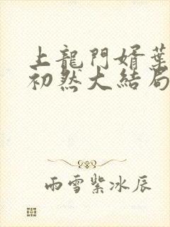 上龙门婿叶辰萧初然大结局