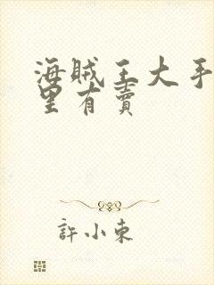 海贼王大手办哪里有卖封面