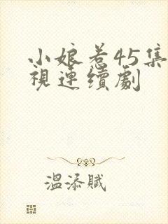 小娘惹45集电视连续剧封面