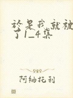 于是我就被拯救了1_4集