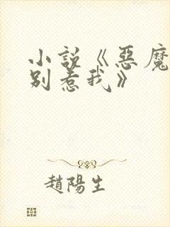 小说《恶魔少爷别惹我》