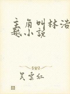 主角叫林浩的穿越小说