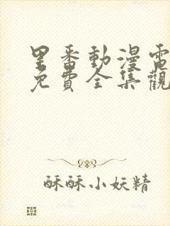 里番动漫电视剧免费全集观看网站封面