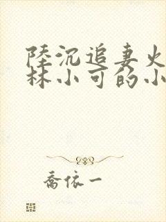 陆沉追妻火葬场林小可的小说