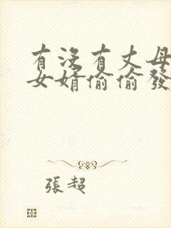 有没有丈母娘和女婿偷偷发什么关系封面