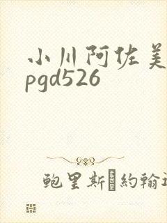 小川阿佐美丝袜pgd526
