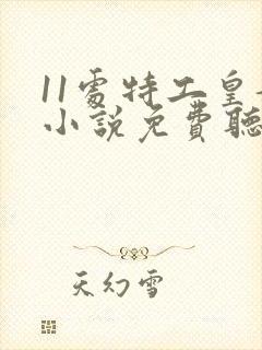 11处特工皇妃小说免费听书封面