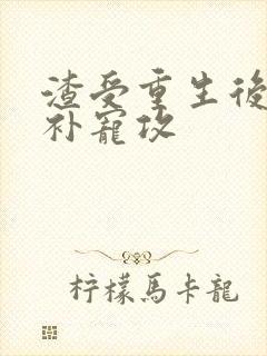 渣受重生后悔弥补宠攻