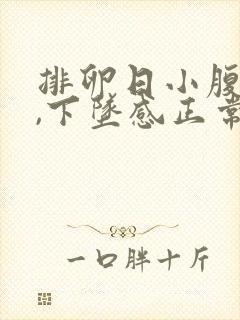 排卵日小腹胀痛,下坠感正常吗封面