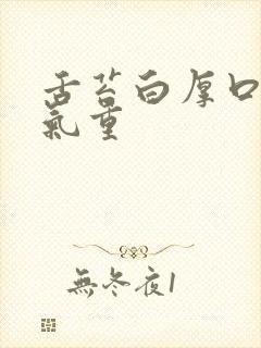 舌苔白厚口苦湿气重