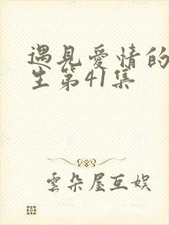 遇见爱情的利先生第41集