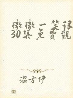 微微一笑很倾城30集免费观看超清