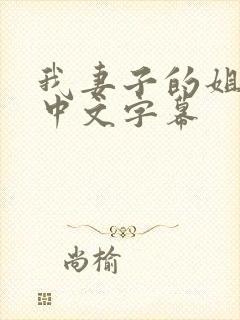 我妻子的姐姐2中文字幕