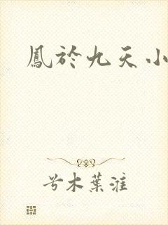 凤于九天小说封面