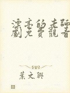 漂亮的老师电视剧免费观看封面