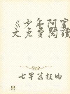 《少年阿宾》全文免费阅读